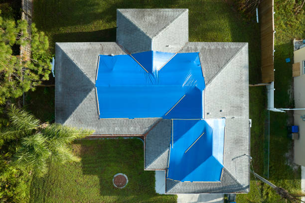 Best Wood Shake Roofing  in Roselawn, IN