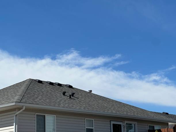 Emergency Roof Repair in Roselawn, IN